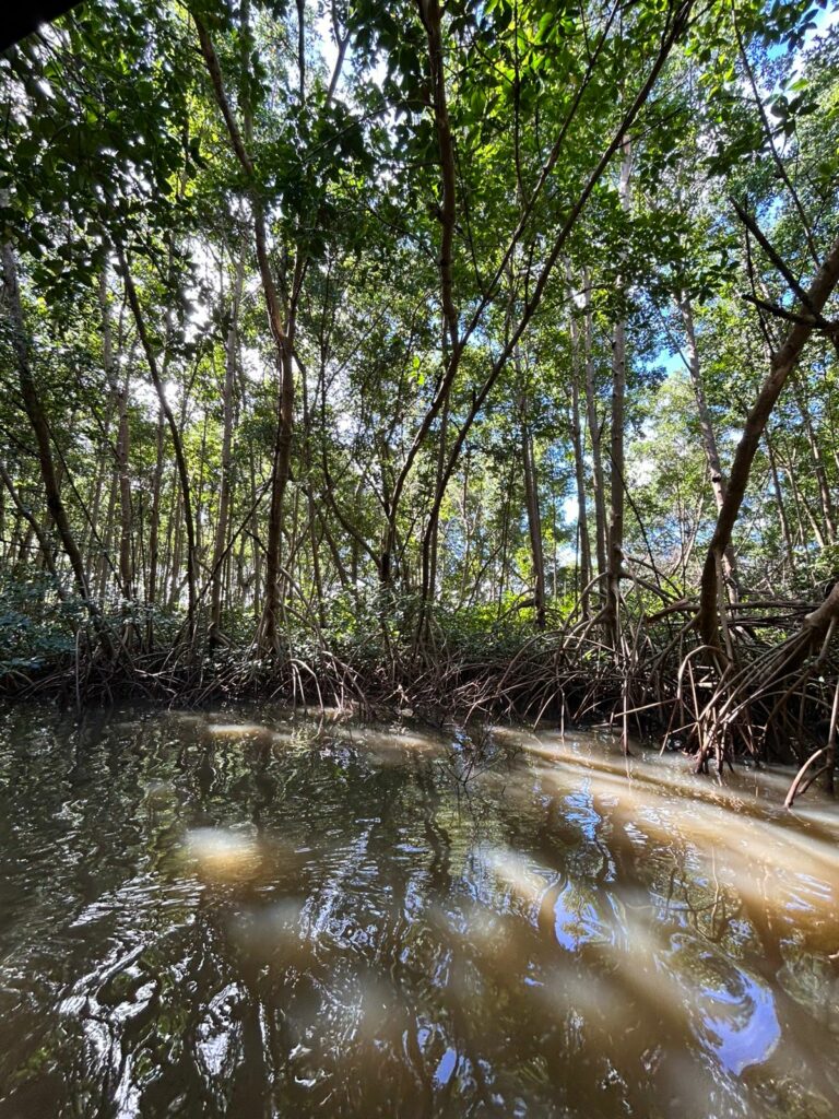 Contrat de la Grande Baie Martinique Contrat de la Grande Baie Martinique